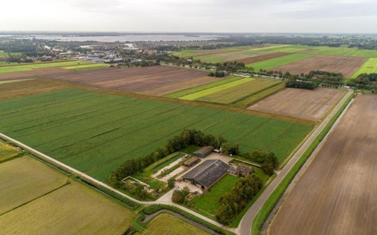 Voorkeursrecht en onteigening in de Omgevingswet